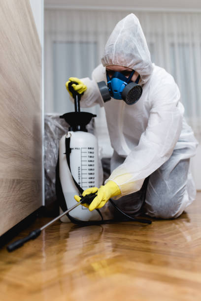 Best Residential Pest Control  in Perry Heights, OH